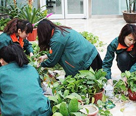 華能中天團(tuán)隊(duì)風(fēng)采