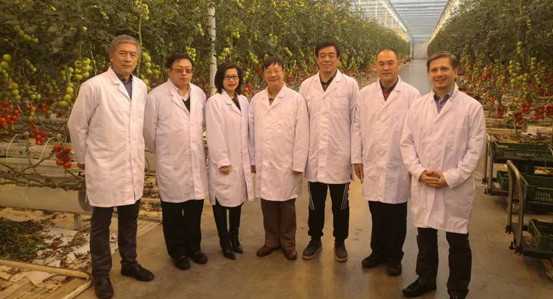 考察第四站--奧地利