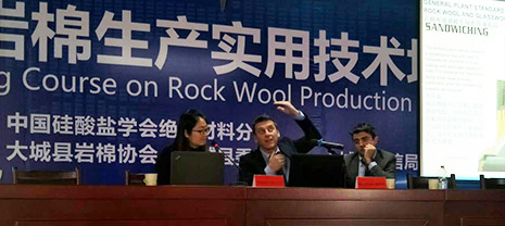 華能中天歡迎意大利GAMMA公司巖棉專家蒞臨大城授課
