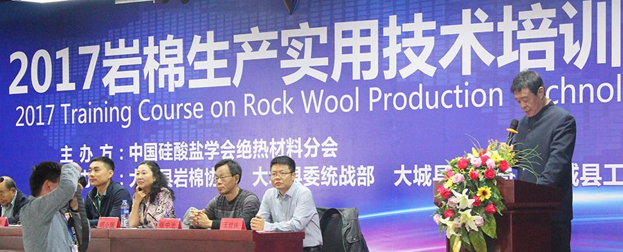 華能中天集團董事長李潤年發(fā)言