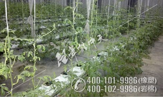 無土栽培巖棉板